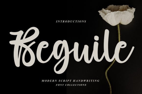 Beguile: A Dainty Script Font That Elevates Handmade Charm