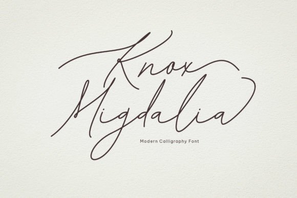 Knox Migdalia: A Refined Script Font for Digital Brand Moments