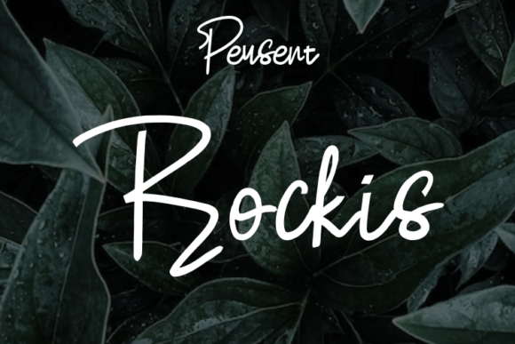 Rockis: A Modern Script Typeface for Scroll-Stopping Brand Content