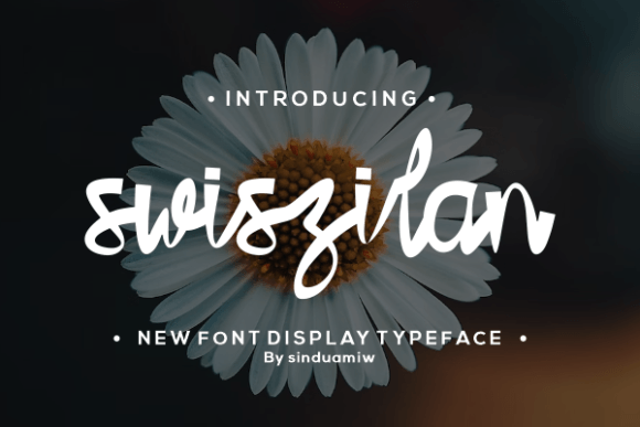 Swiszilan: A Handwritten Font That Elevates Real Small Business Branding